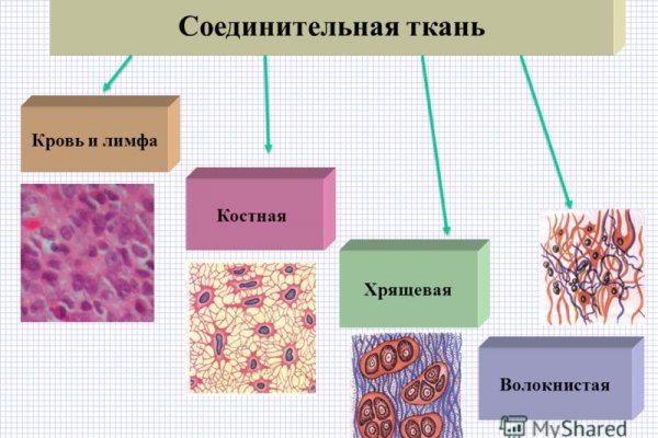 Кракен 12 сайт